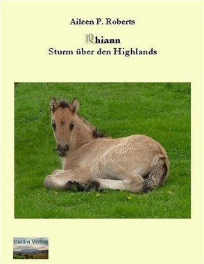 Rhiann – Sturm über den Highlands von Roberts,  Aileen P.