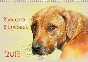 Rhodesian Ridgeback 2018 (Wandkalender 2018 DIN A3 quer) von Redecker,  Andrea