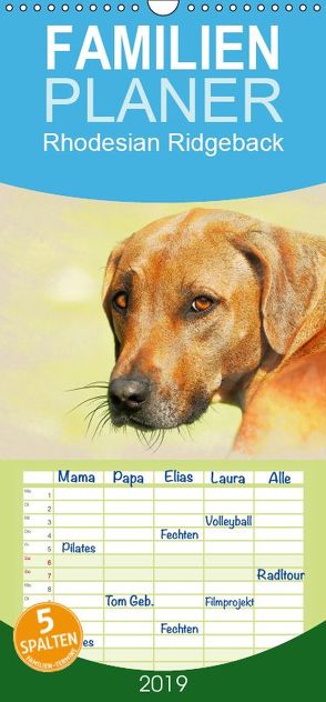 Rhodesian Ridgeback 2019 – Familienplaner hoch (Wandkalender 2019 , 21 cm x 45 cm, hoch) von Redecker,  Andrea