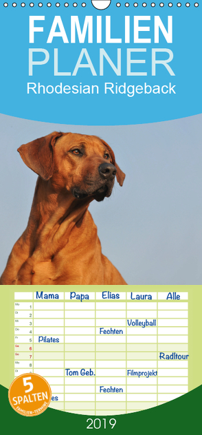 Rhodesian Ridgeback 2019 – Familienplaner hoch (Wandkalender 2019 , 21 cm x 45 cm, hoch) von Starick,  Sigrid