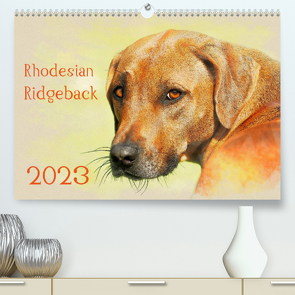 Rhodesian Ridgeback 2023 (Premium, hochwertiger DIN A2 Wandkalender 2023, Kunstdruck in Hochglanz) von Redecker,  Andrea