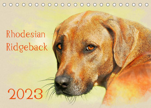 Rhodesian Ridgeback 2023 (Tischkalender 2023 DIN A5 quer) von Redecker,  Andrea