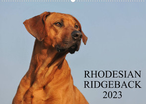 Rhodesian Ridgeback 2023 (Wandkalender 2023 DIN A2 quer) von Starick,  Sigrid