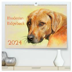Rhodesian Ridgeback 2024 (hochwertiger Premium Wandkalender 2024 DIN A2 quer), Kunstdruck in Hochglanz von Redecker,  Andrea