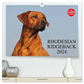 Rhodesian Ridgeback 2024 (hochwertiger Premium Wandkalender 2024 DIN A2 quer), Kunstdruck in Hochglanz von Starick,  Sigrid