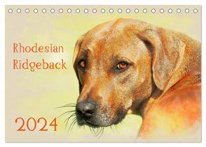 Rhodesian Ridgeback 2024 (Tischkalender 2024 DIN A5 quer), CALVENDO Monatskalender von Redecker,  Andrea