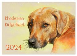 Rhodesian Ridgeback 2024 (Wandkalender 2024 DIN A2 quer), CALVENDO Monatskalender von Redecker,  Andrea