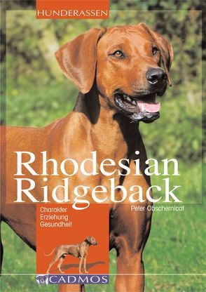 Rhodesian Ridgeback von Obschernicat,  Peter