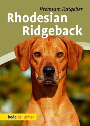 Rhodesian Ridgeback von Schmitt,  Annette, van Klaveren,  Karin