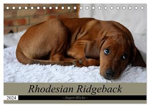 Rhodesian Ridgeback Augen-Blicke (Tischkalender 2024 DIN A5 quer), CALVENDO Monatskalender von Behrens,  Dagmar