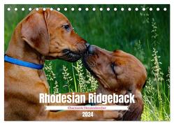 Rhodesian Ridgeback, Charmante Herzensbrecher (Tischkalender 2024 DIN A5 quer), CALVENDO Monatskalender von Behrens,  Dagmar