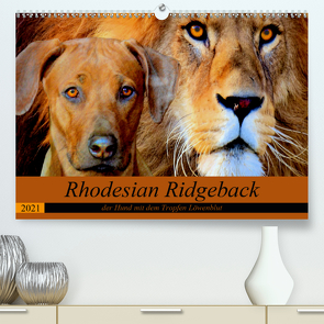 Rhodesian Ridgeback der Hund mit dem Tropfen Löwenblut (Premium, hochwertiger DIN A2 Wandkalender 2021, Kunstdruck in Hochglanz) von Behrens,  Dagmar