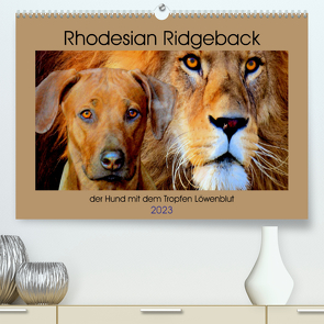 Rhodesian Ridgeback der Hund mit dem Tropfen Löwenblut (Premium, hochwertiger DIN A2 Wandkalender 2023, Kunstdruck in Hochglanz) von Behrens,  Dagmar