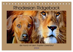 Rhodesian Ridgeback der Hund mit dem Tropfen Löwenblut (Tischkalender 2024 DIN A5 quer), CALVENDO Monatskalender von Behrens,  Dagmar