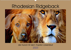 Rhodesian Ridgeback der Hund mit dem Tropfen Löwenblut (Wandkalender 2023 DIN A2 quer) von Behrens,  Dagmar