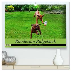Rhodesian Ridgeback ein Clown auf 4 Pfoten (hochwertiger Premium Wandkalender 2024 DIN A2 quer), Kunstdruck in Hochglanz von Behrens,  Dagmar