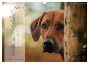 Rhodesian Ridgeback – Herzen auf vier Pfoten (Wandkalender 2024 DIN A3 quer), CALVENDO Monatskalender von Mischnik,  Sabrina