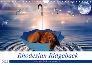 Rhodesian Ridgeback – kreativ in Szene gesetzt – (Wandkalender 2022 DIN A4 quer) von Behrens,  Dagmar