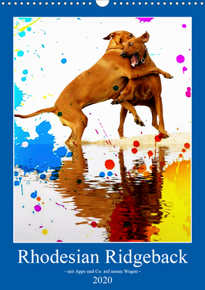 Rhodesian Ridgeback – mit Apps und Co.auf neuen Wegen – (Wandkalender 2020 DIN A3 hoch) von Behrens,  Dagmar