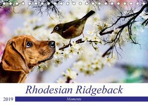 Rhodesian Ridgeback – Moments (Tischkalender 2019 DIN A5 quer) von Behrens,  Dagmar
