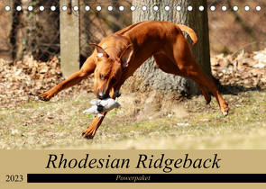 Rhodesian Ridgeback Powerpaket (Tischkalender 2023 DIN A5 quer) von Behrens,  Dagmar