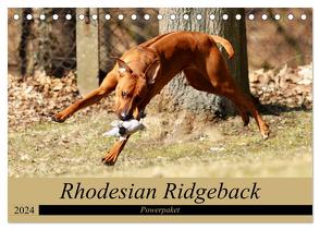 Rhodesian Ridgeback Powerpaket (Tischkalender 2024 DIN A5 quer), CALVENDO Monatskalender von Behrens,  Dagmar