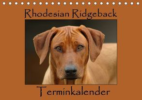 Rhodesian Ridgeback Terminkalender (Tischkalender 2019 DIN A5 quer) von van Wyk - www.germanpix.net,  Anke