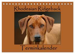 Rhodesian Ridgeback Terminkalender (Tischkalender 2024 DIN A5 quer), CALVENDO Monatskalender von van Wyk - www.germanpix.net,  Anke