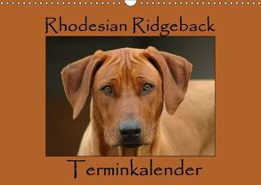 Rhodesian Ridgeback Terminkalender (Wandkalender 2019 DIN A3 quer) von van Wyk - www.germanpix.net,  Anke