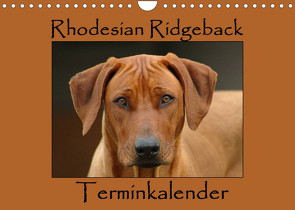 Rhodesian Ridgeback Terminkalender (Wandkalender 2023 DIN A4 quer) von van Wyk - www.germanpix.net,  Anke
