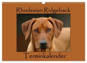 Rhodesian Ridgeback Terminkalender (Wandkalender 2024 DIN A3 quer), CALVENDO Monatskalender von van Wyk - www.germanpix.net,  Anke