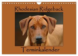 Rhodesian Ridgeback Terminkalender (Wandkalender 2024 DIN A4 quer), CALVENDO Monatskalender von van Wyk - www.germanpix.net,  Anke