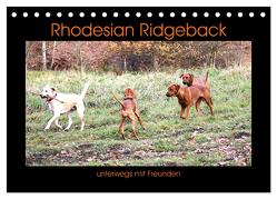 Rhodesian Ridgeback unterwegs mit Freunden (Tischkalender 2024 DIN A5 quer), CALVENDO Monatskalender von Behrens,  Dagmar