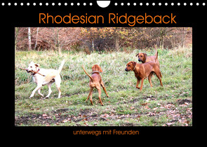 Rhodesian Ridgeback unterwegs mit Freunden (Wandkalender 2022 DIN A4 quer) von Behrens,  Dagmar