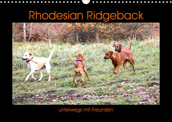 Rhodesian Ridgeback unterwegs mit Freunden (Wandkalender 2023 DIN A3 quer) von Behrens,  Dagmar