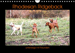 Rhodesian Ridgeback unterwegs mit Freunden (Wandkalender 2023 DIN A4 quer) von Behrens,  Dagmar