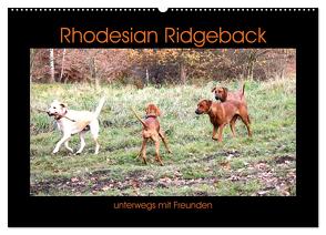 Rhodesian Ridgeback unterwegs mit Freunden (Wandkalender 2024 DIN A2 quer), CALVENDO Monatskalender von Behrens,  Dagmar