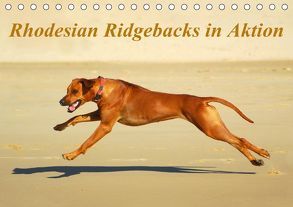 Rhodesian Ridgebacks in AktionAT-Version (Tischkalender 2019 DIN A5 quer) von van Wyk - www.germanpix.net,  Anke