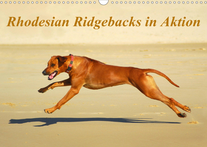 Rhodesian Ridgebacks in AktionAT-Version (Wandkalender 2020 DIN A3 quer) von van Wyk - www.germanpix.net,  Anke