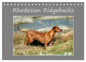 Rhodesian Ridgebacks (Tischkalender 2024 DIN A5 quer), CALVENDO Monatskalender von van Wyk - www.germanpix.net,  Anke