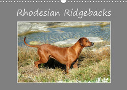 Rhodesian Ridgebacks (Wandkalender 2023 DIN A3 quer) von van Wyk - www.germanpix.net,  Anke