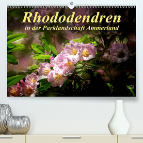 Rhododendren in der Parklandschaft Ammerland / Geburtstagskalender (Premium, hochwertiger DIN A2 Wandkalender 2022, Kunstdruck in Hochglanz) von Roder,  Peter