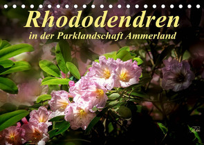 Rhododendren in der Parklandschaft Ammerland / Geburtstagskalender (Tischkalender 2022 DIN A5 quer) von Roder,  Peter