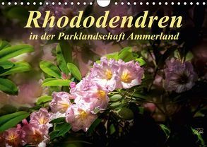 Rhododendren in der Parklandschaft Ammerland (Wandkalender 2019 DIN A4 quer) von N.,  N.
