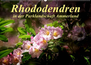 Rhododendren in der Parklandschaft Ammerland (Wandkalender 2022 DIN A2 quer) von N.,  N.