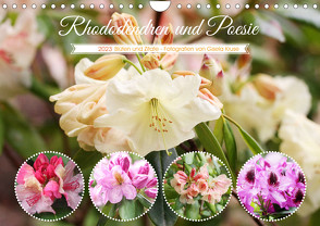 Rhododendren und Poesie (Wandkalender 2023 DIN A4 quer) von Kruse,  Gisela