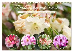 Rhododendren und Poesie (Wandkalender 2024 DIN A3 quer), CALVENDO Monatskalender von Kruse,  Gisela
