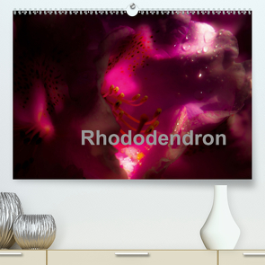 Rhododendron (Premium, hochwertiger DIN A2 Wandkalender 2021, Kunstdruck in Hochglanz) von Renken,  Erwin
