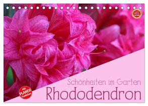 Rhododendron Schönheiten im Garten (Tischkalender 2024 DIN A5 quer), CALVENDO Monatskalender von Cross,  Martina