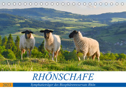 Rhönschafe – Symphatieträger des Biosphärenreservats Rhön (Tischkalender 2023 DIN A5 quer) von Hempe,  Manfred, Müller,  Arnulf